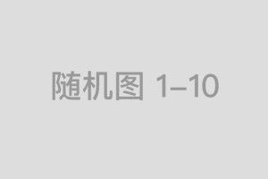 2024年12月11日今日锌精矿价格专业行情走势